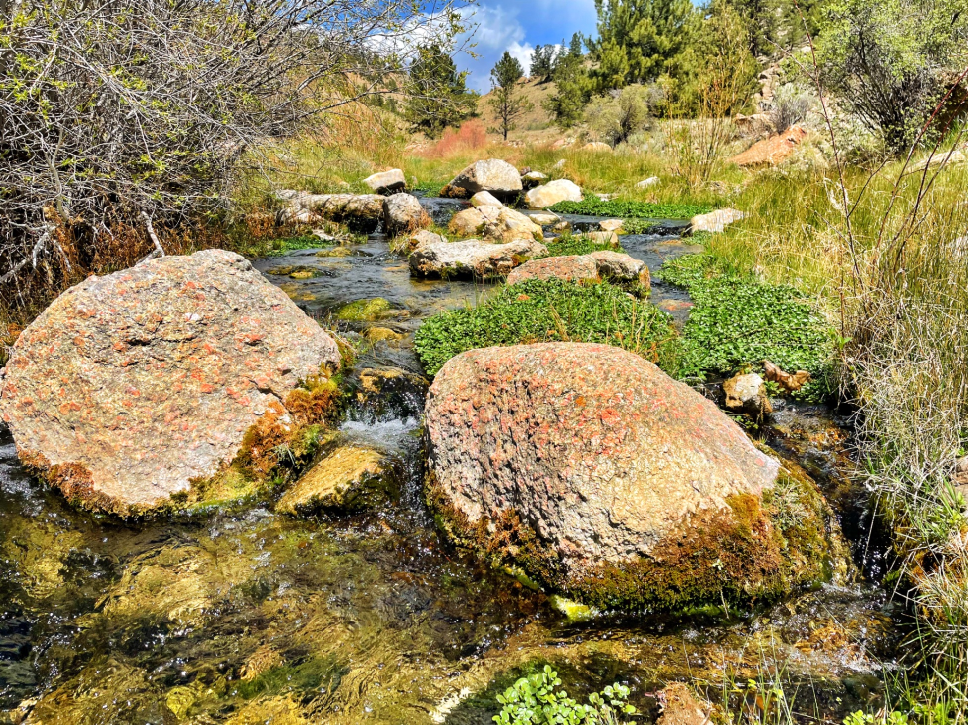 Rocky stream with moss-covered boulders in forested valley — z is on the river