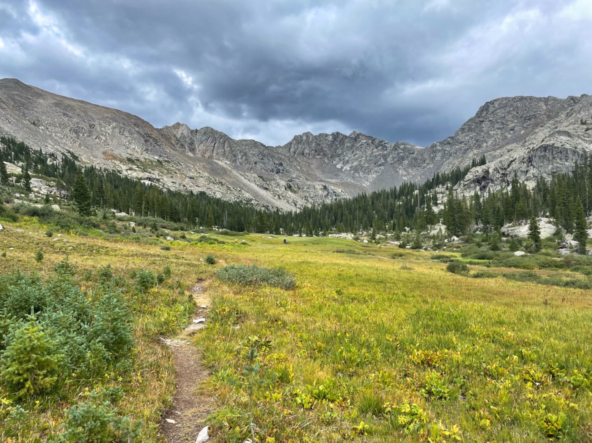 Alpine meadow valley with conifer forest and rocky mountains — z is on the river