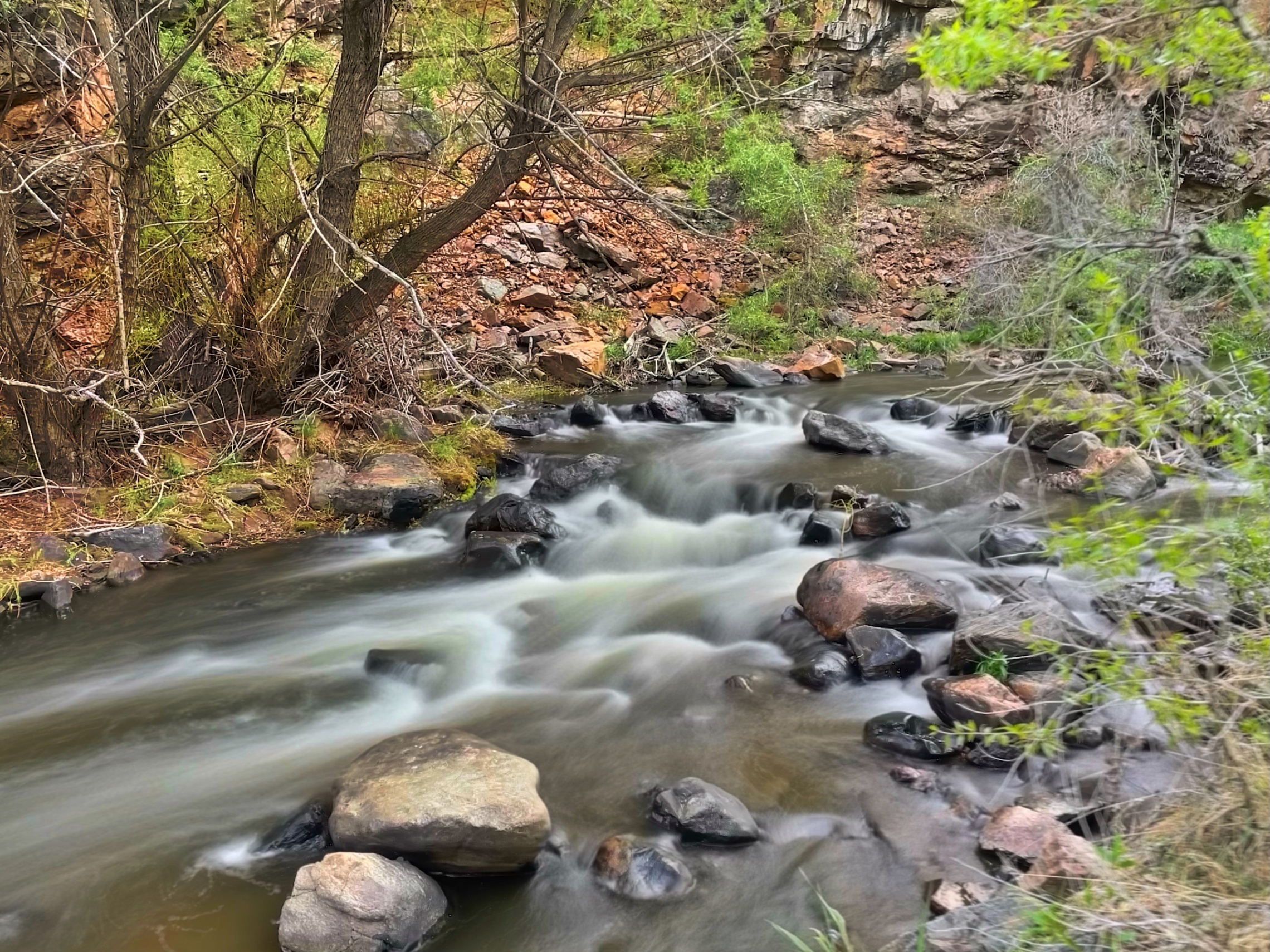 Mountain stream flowing over rocks through forested canyon — z is on the river