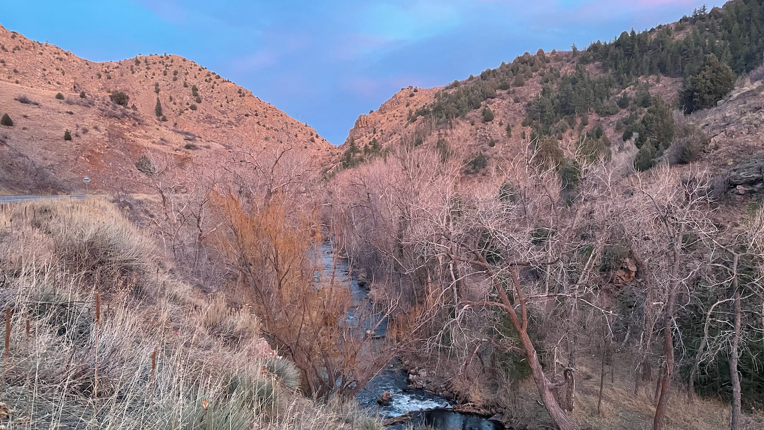 Mountain valley with stream, bare trees, and coniferous forest — z is on the river