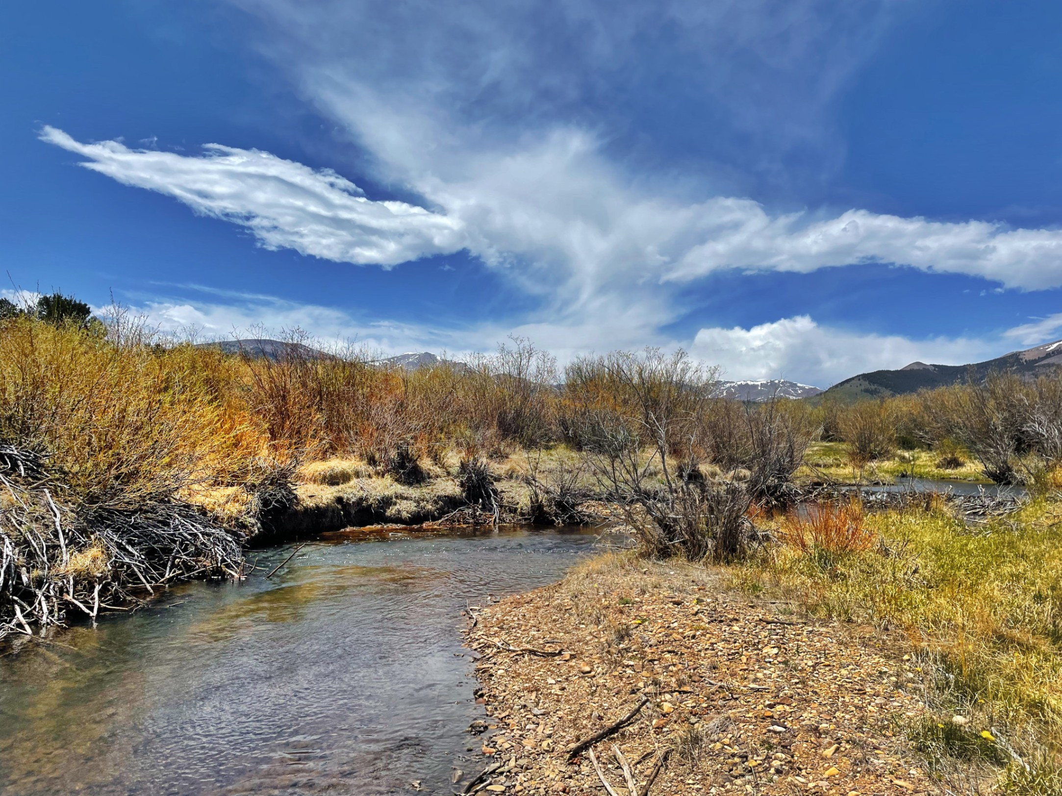 Mountain stream flows through sagebrush landscape under blue sky — z is on the river