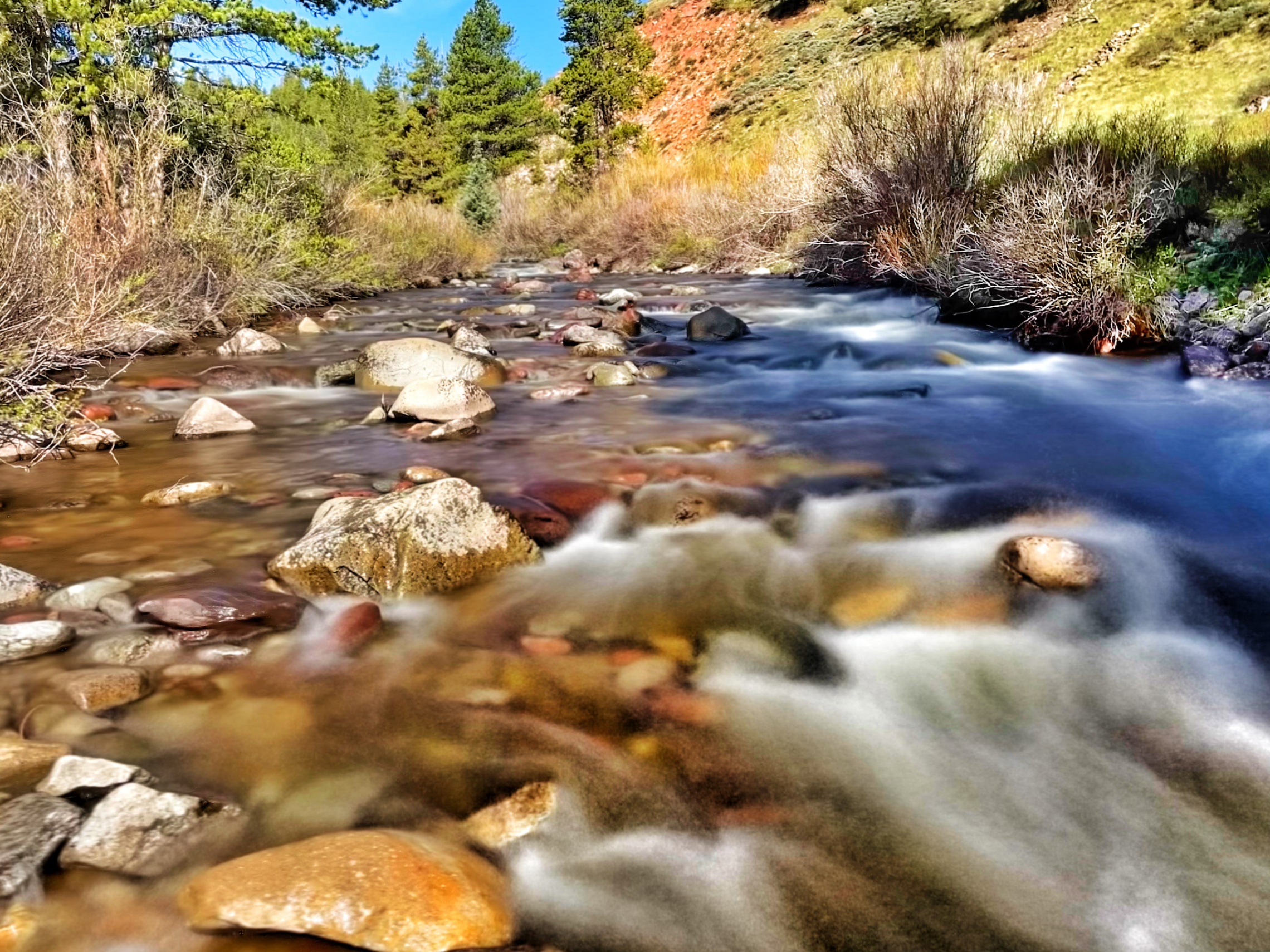 Mountain stream flowing over rocks surrounded by forest — z is on the river