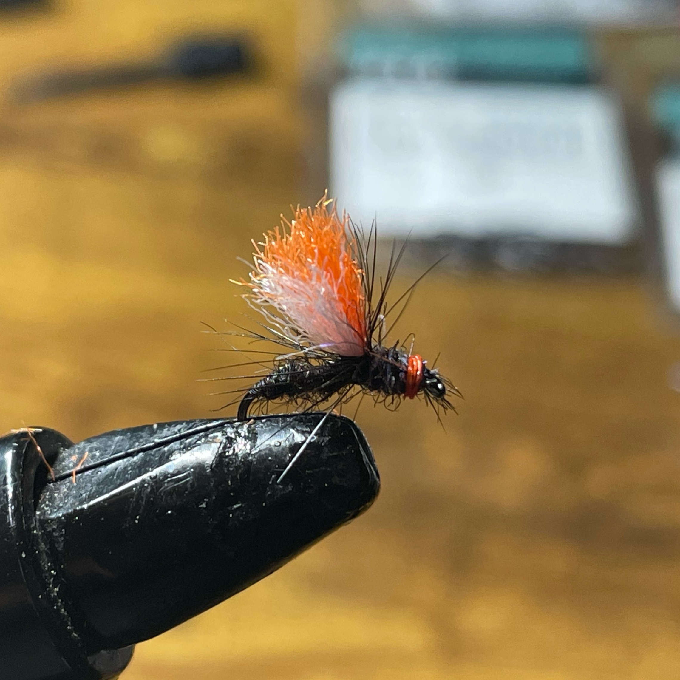 Fishing fly with orange and black fibers on hook — z is on the river